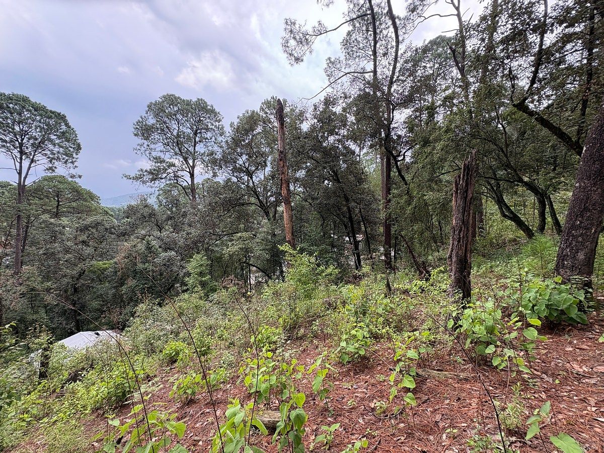Terreno en venta en Avandaro, foto 1 de 9