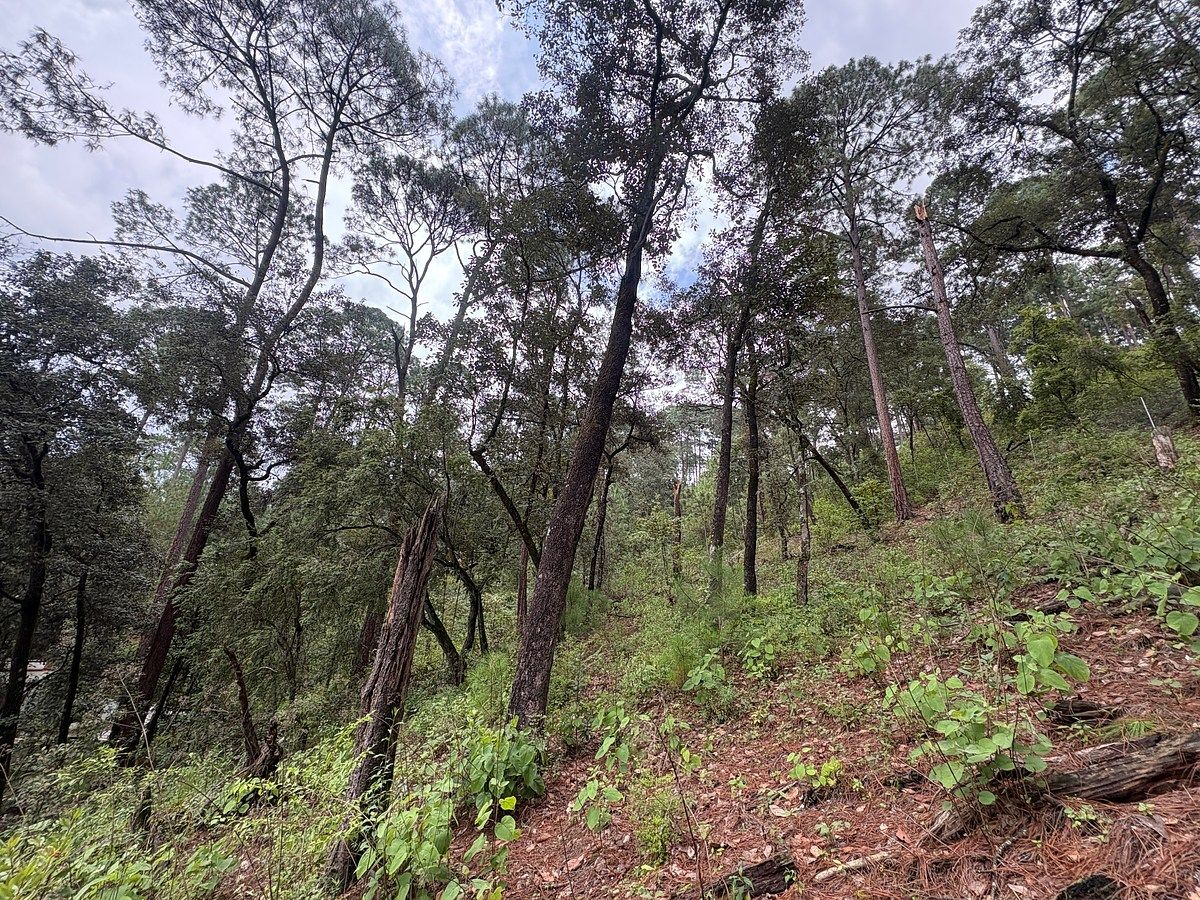 Terreno en Avándaro, Valle de Bravo, foto 2 de 9