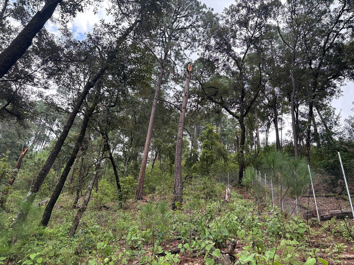 Terreno en Avándaro, Valle de Bravo, foto 3 de 9