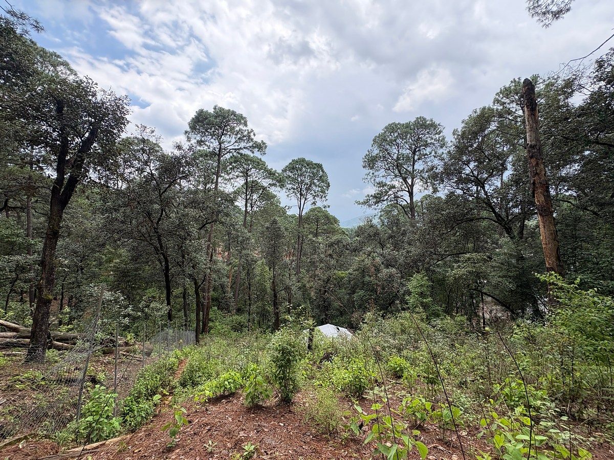 Terreno en Avándaro, Valle de Bravo, foto 4 de 9