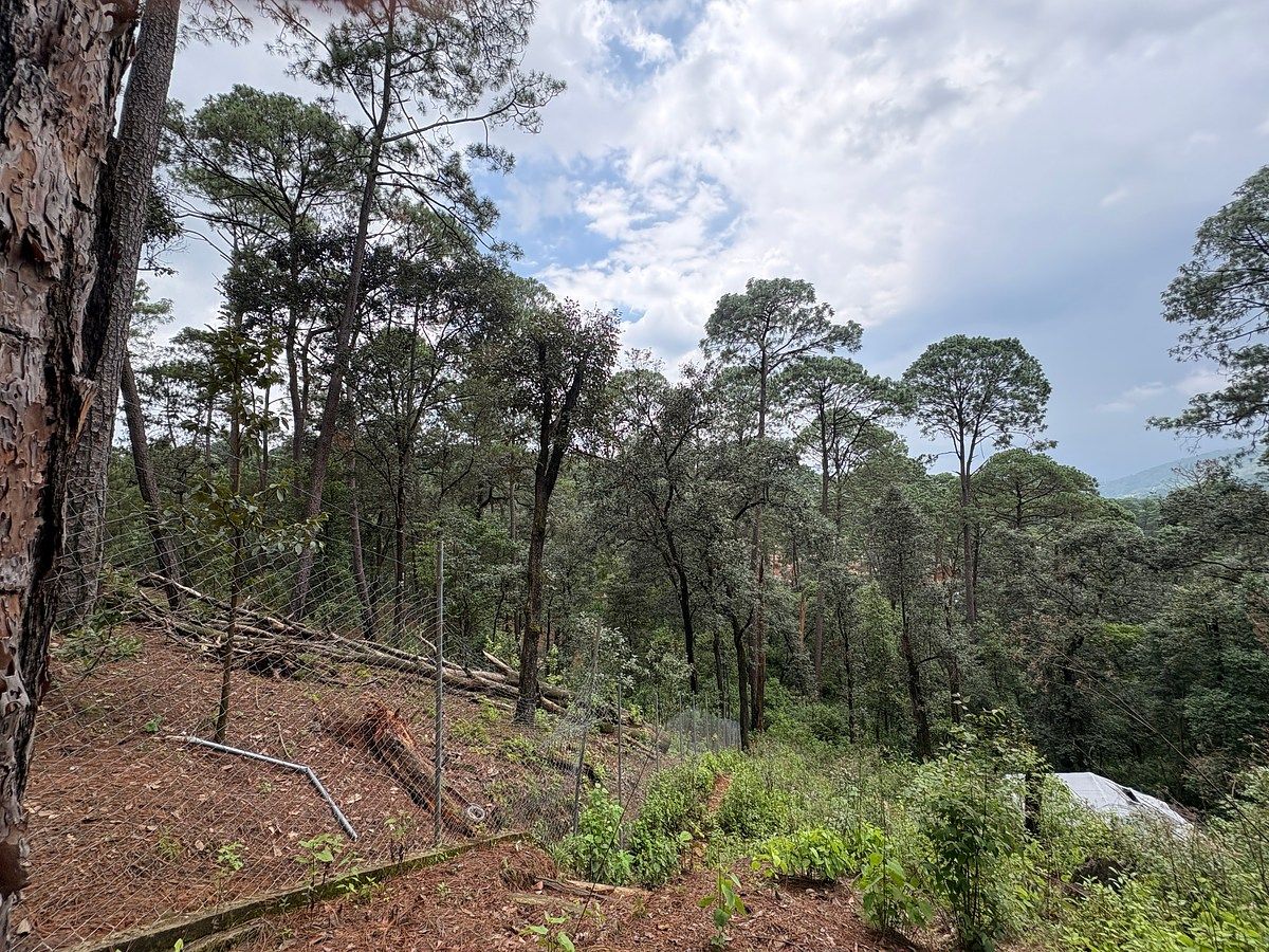 Terreno en Avándaro, Valle de Bravo, foto 5 de 9