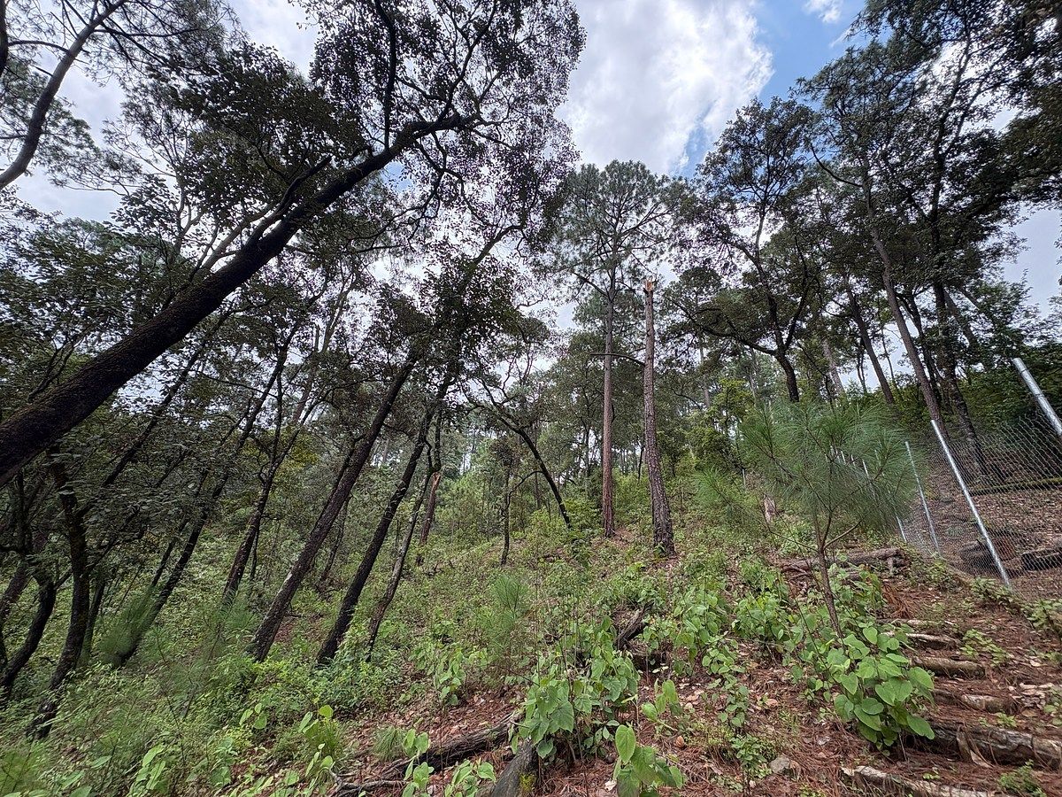 Terreno en Avándaro, Valle de Bravo, foto 6 de 9