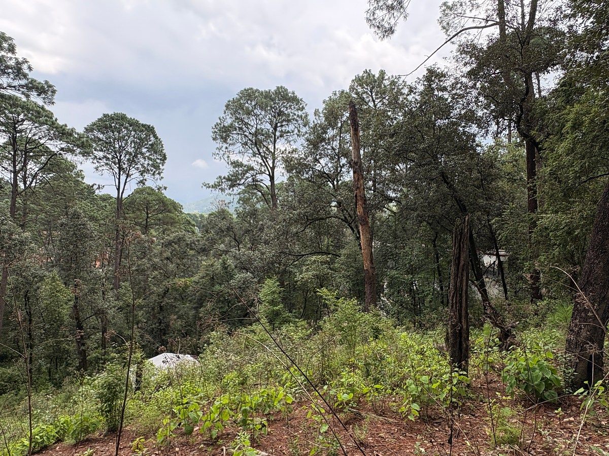 Terreno en Avándaro, Valle de Bravo, foto 7 de 9