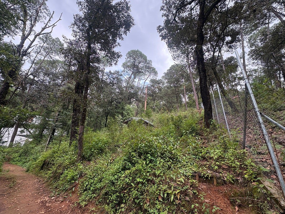 Terreno en Avándaro, Valle de Bravo, foto 8 de 9