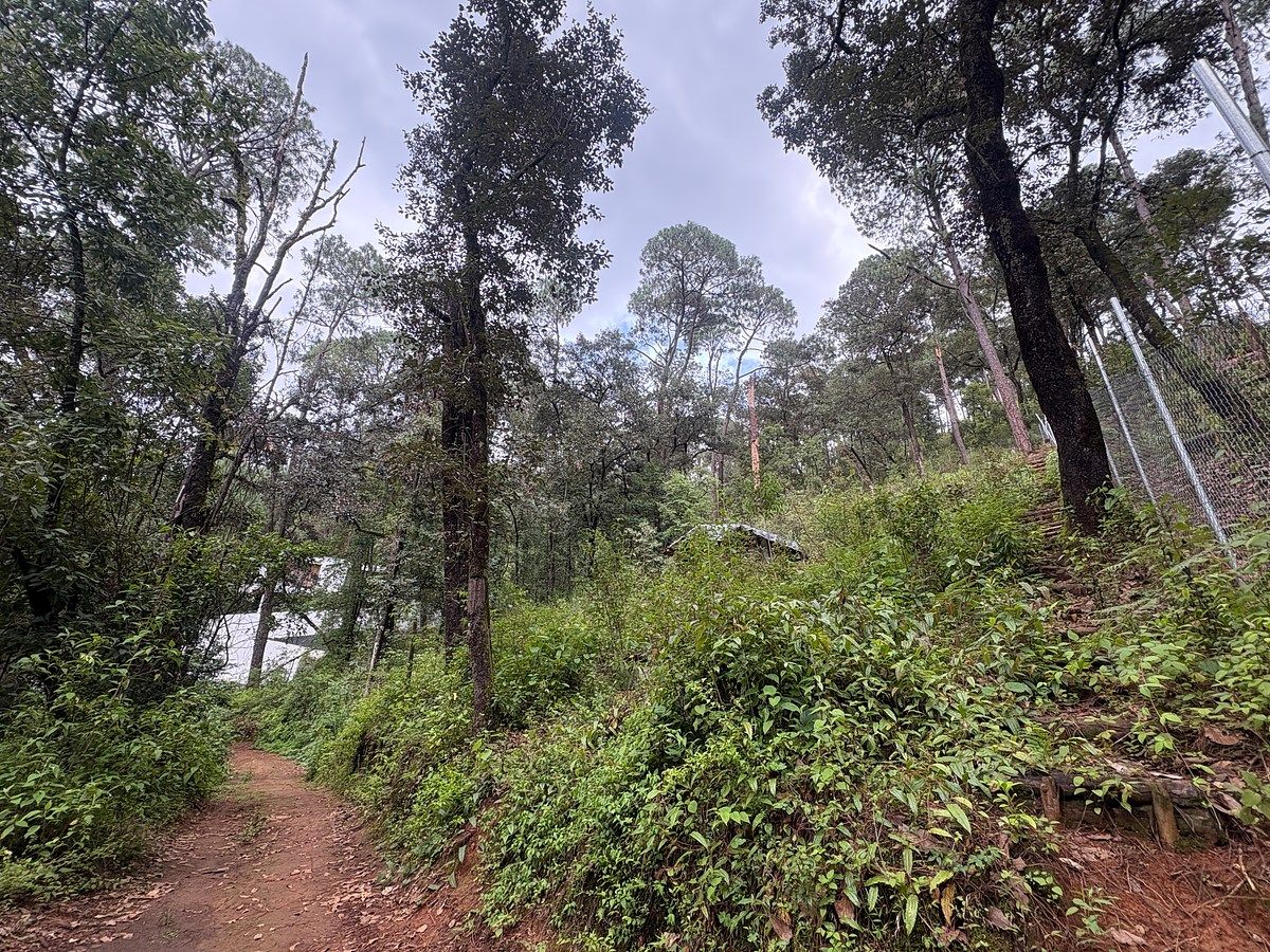 Terreno en Avándaro, Valle de Bravo, foto 9 de 9