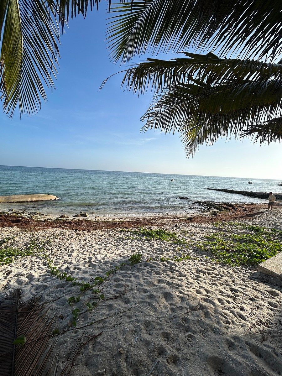 House in Chicxulub Puerto, Progreso, photo 8 of 24
