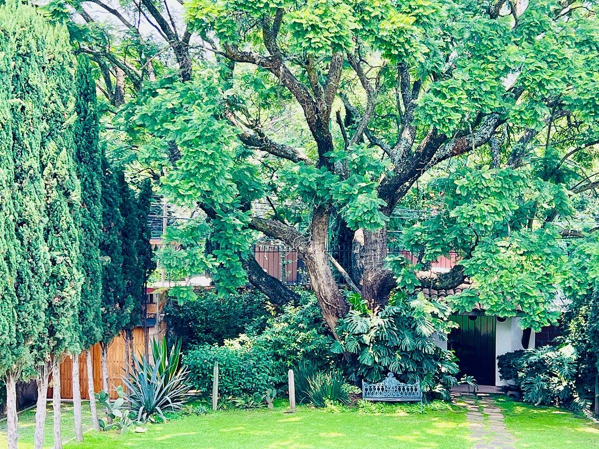 Casa em Lomas de Virreyes, Miguel Hidalgo, foto 18 de 32