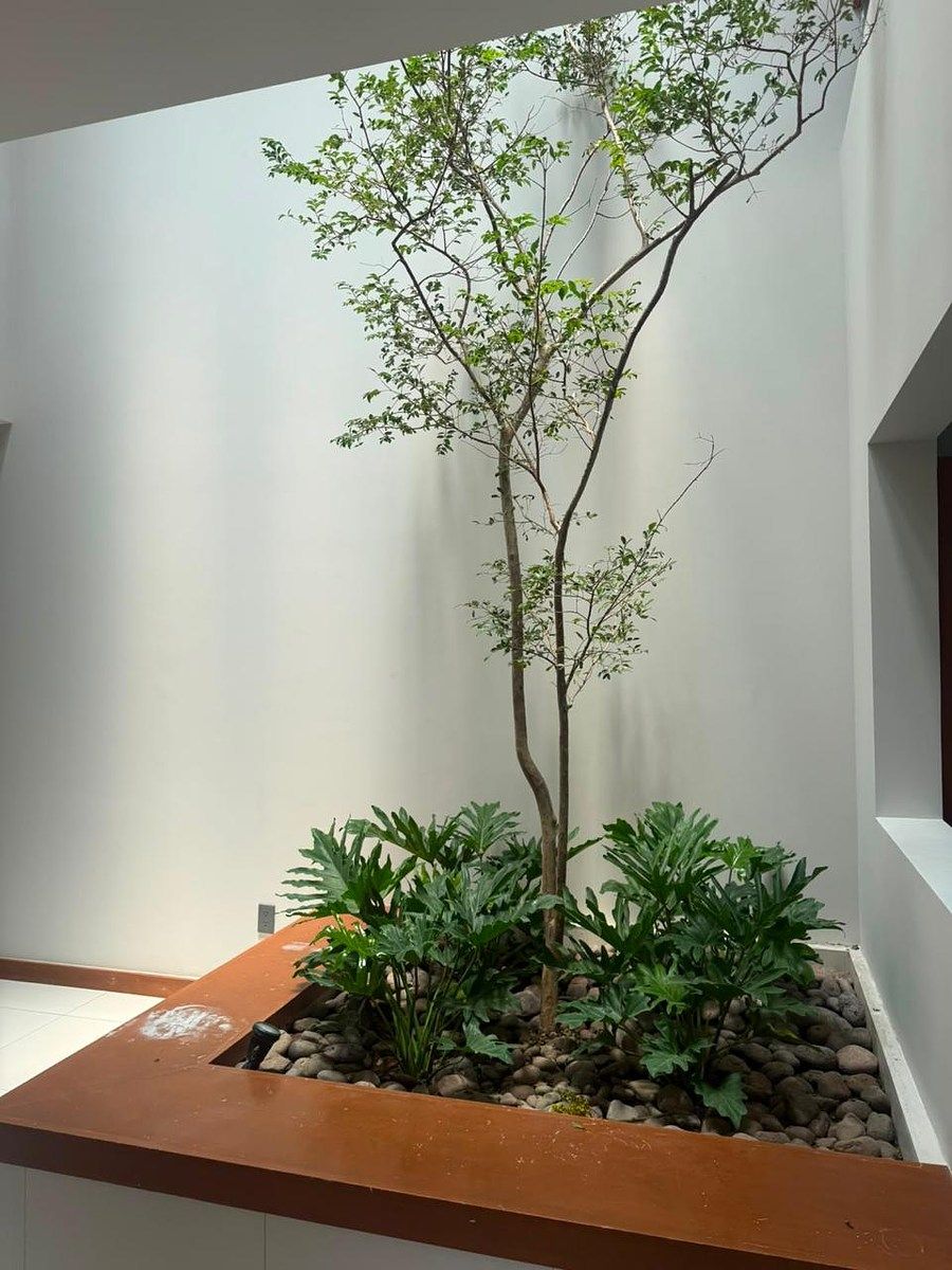 House in Valle Real, Zapopan, photo 5 of 16
