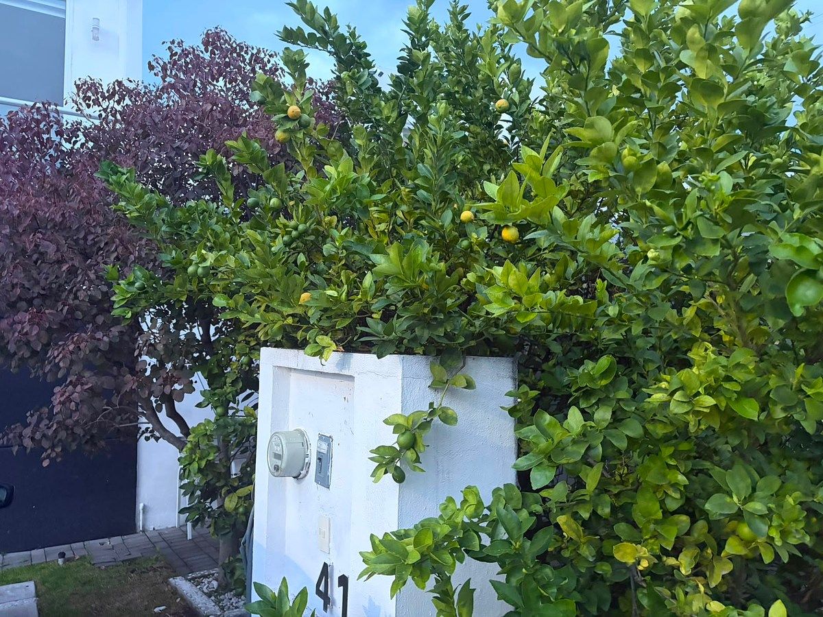 Casa en Residencial el Refugio, Querétaro, foto 3 de 38