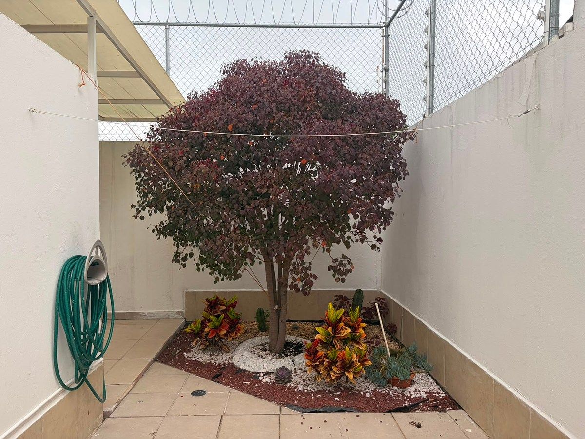 Casa en Residencial el Refugio, Querétaro, foto 37 de 38