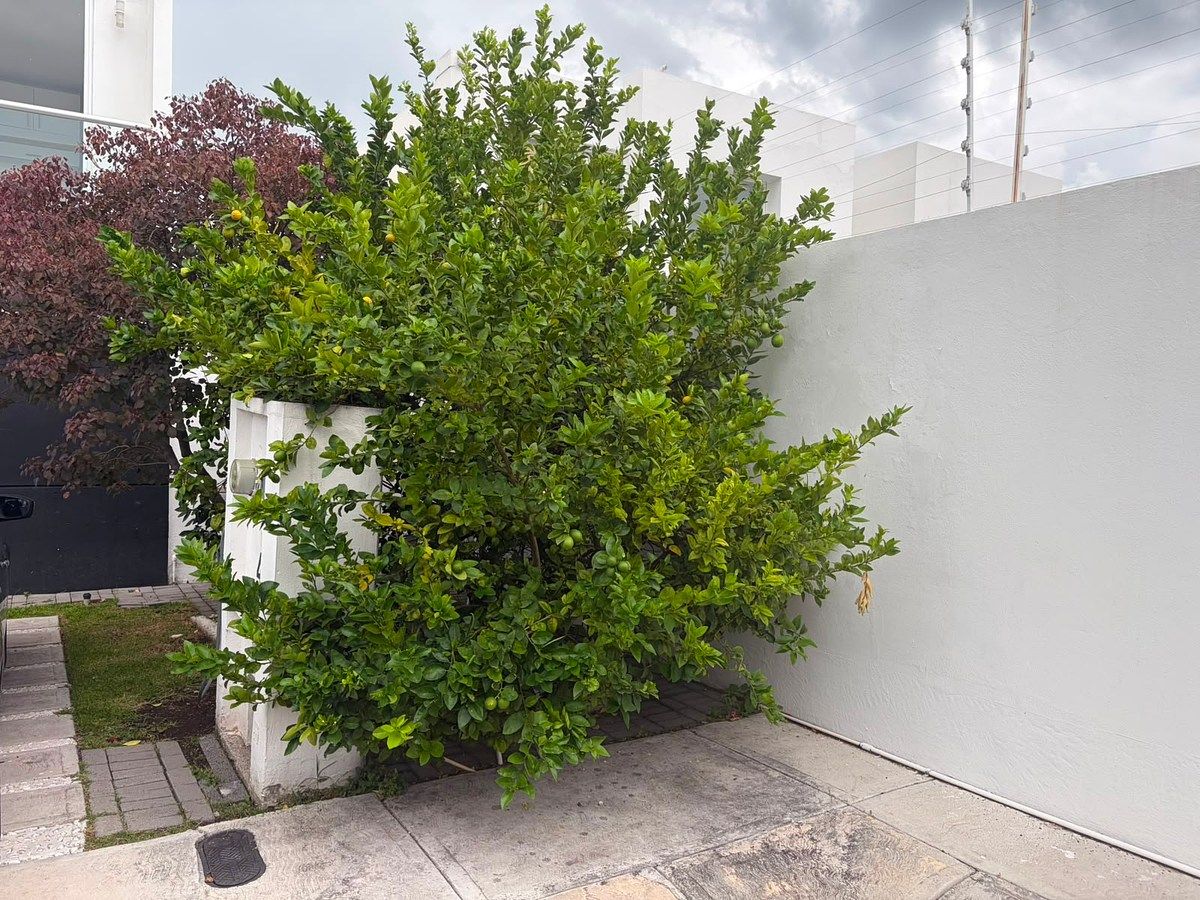 Casa en Residencial el Refugio, Querétaro, foto 38 de 38