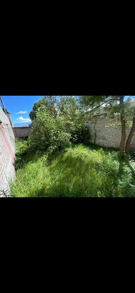 Lote em El Magueyal Dos, Tlalmanalco, foto 3 de 8