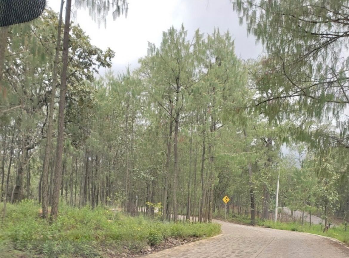 Terreno en Tapalpa, Tapalpa, foto 2 de 3