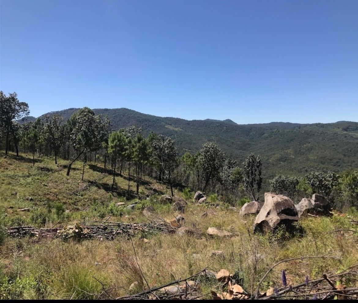Terreno en Tapalpa, Tapalpa, foto 3 de 3