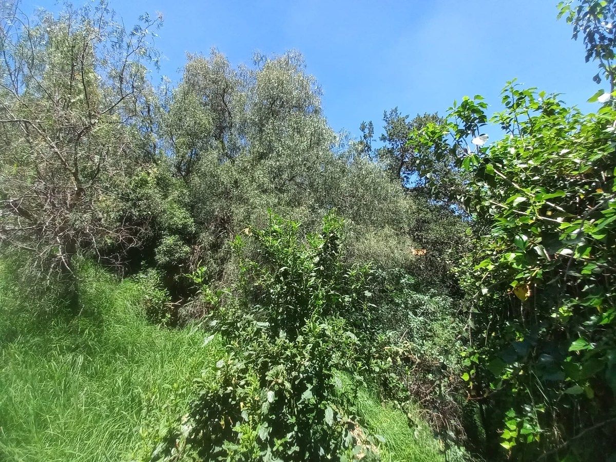 Terreno en La Estadía, Atizapán de Zaragoza, foto 4 de 4