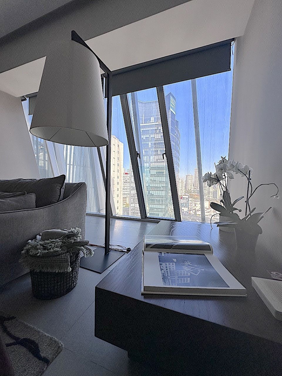Departamento en Santa Fe Cuajimalpa, Cuajimalpa de Morelos, foto 5 de 45