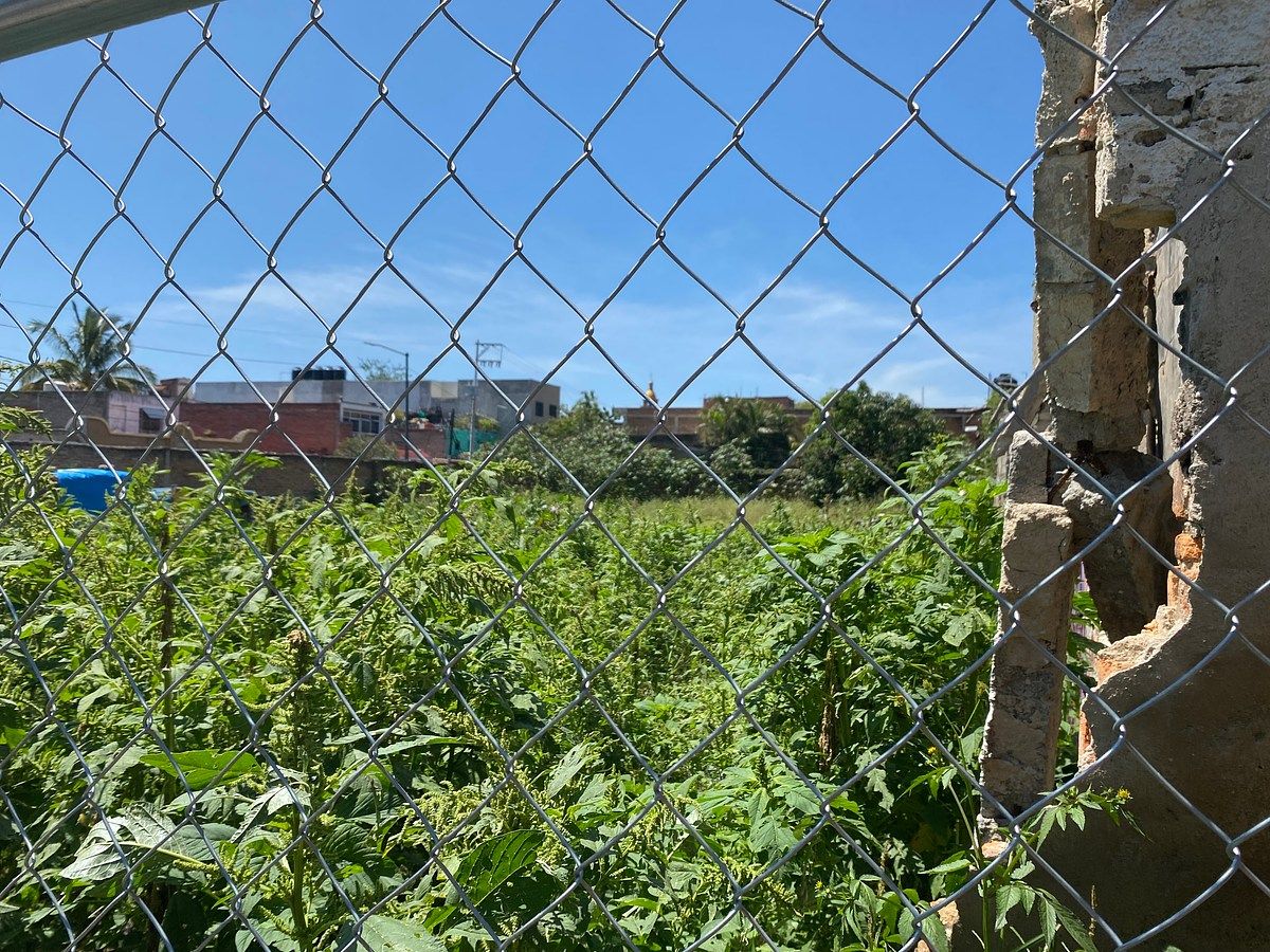 Lot in Agustín Yánez, Guadalajara, photo 5 of 6