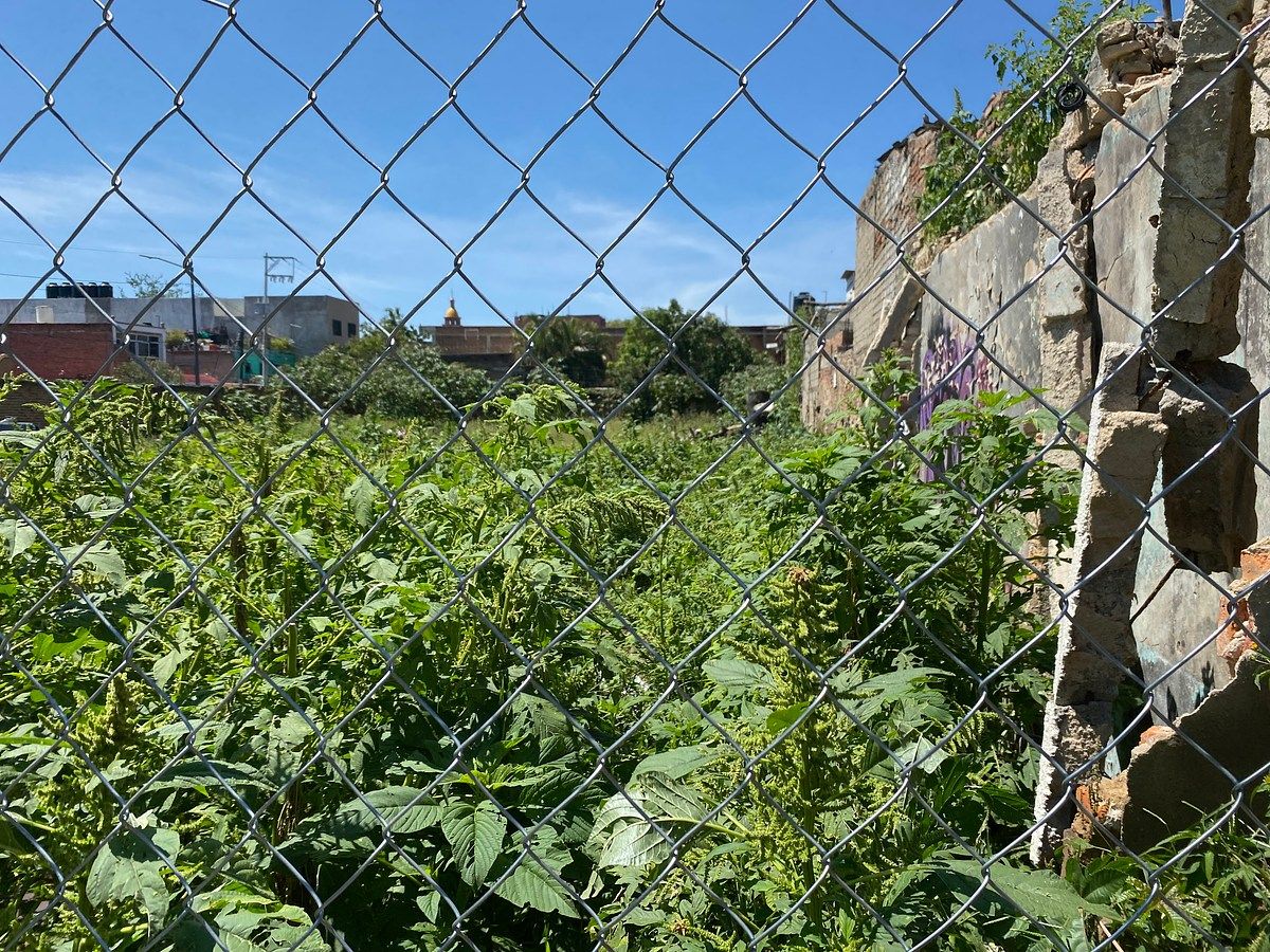 Lot in Agustín Yánez, Guadalajara, photo 6 of 6
