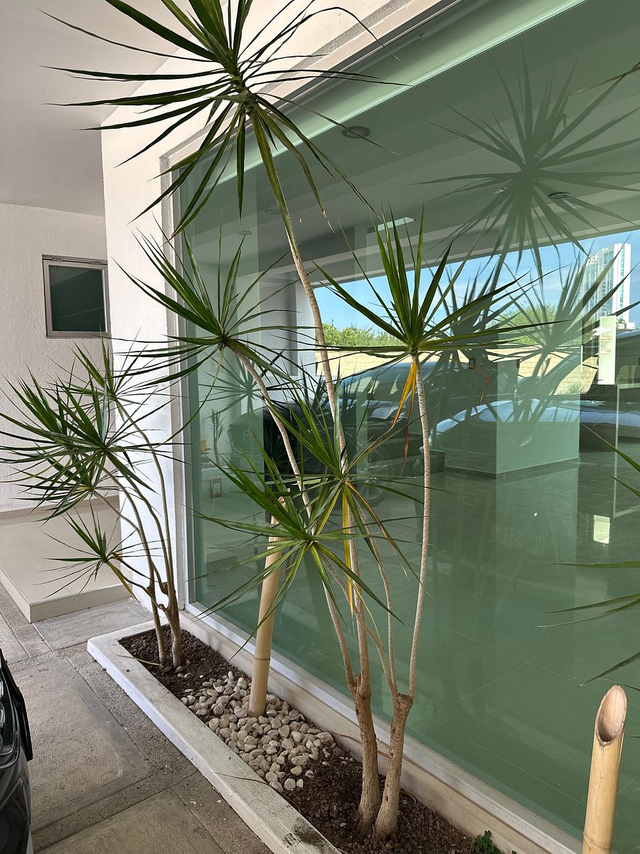 Casa em Hacienda Juriquilla Santa Fe, Querétaro, foto 26 de 29