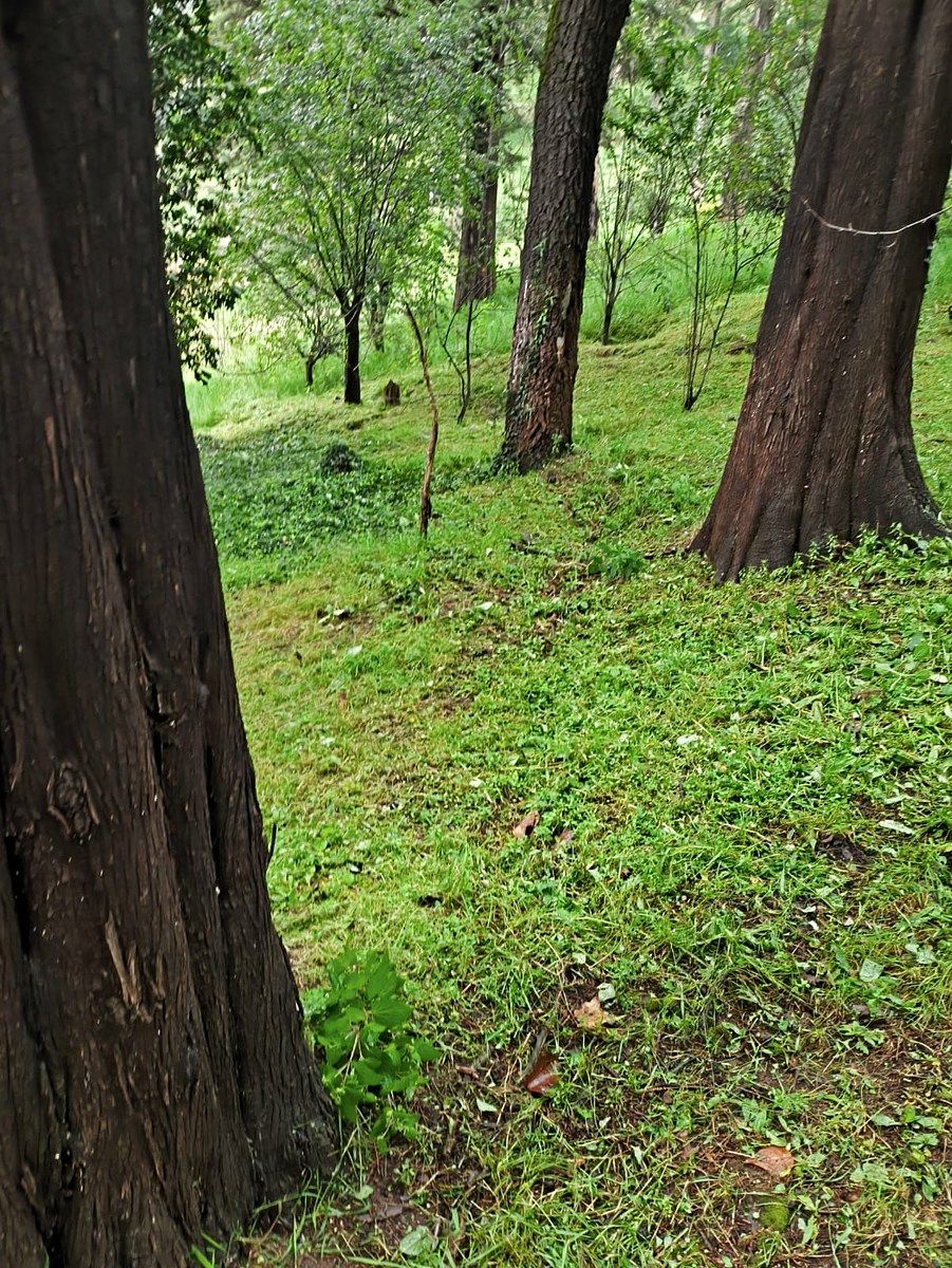 Rancho en Tlazala, Isidro Fabela, foto 7 de 12