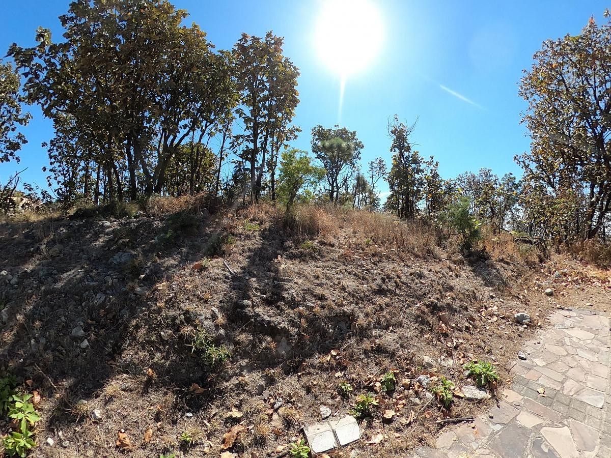 Terreno, foto 8 de 12