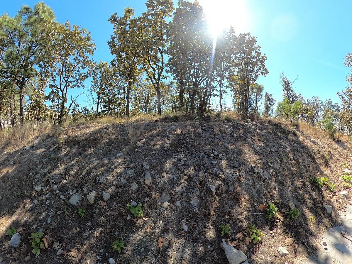 Terreno, foto 9 de 12