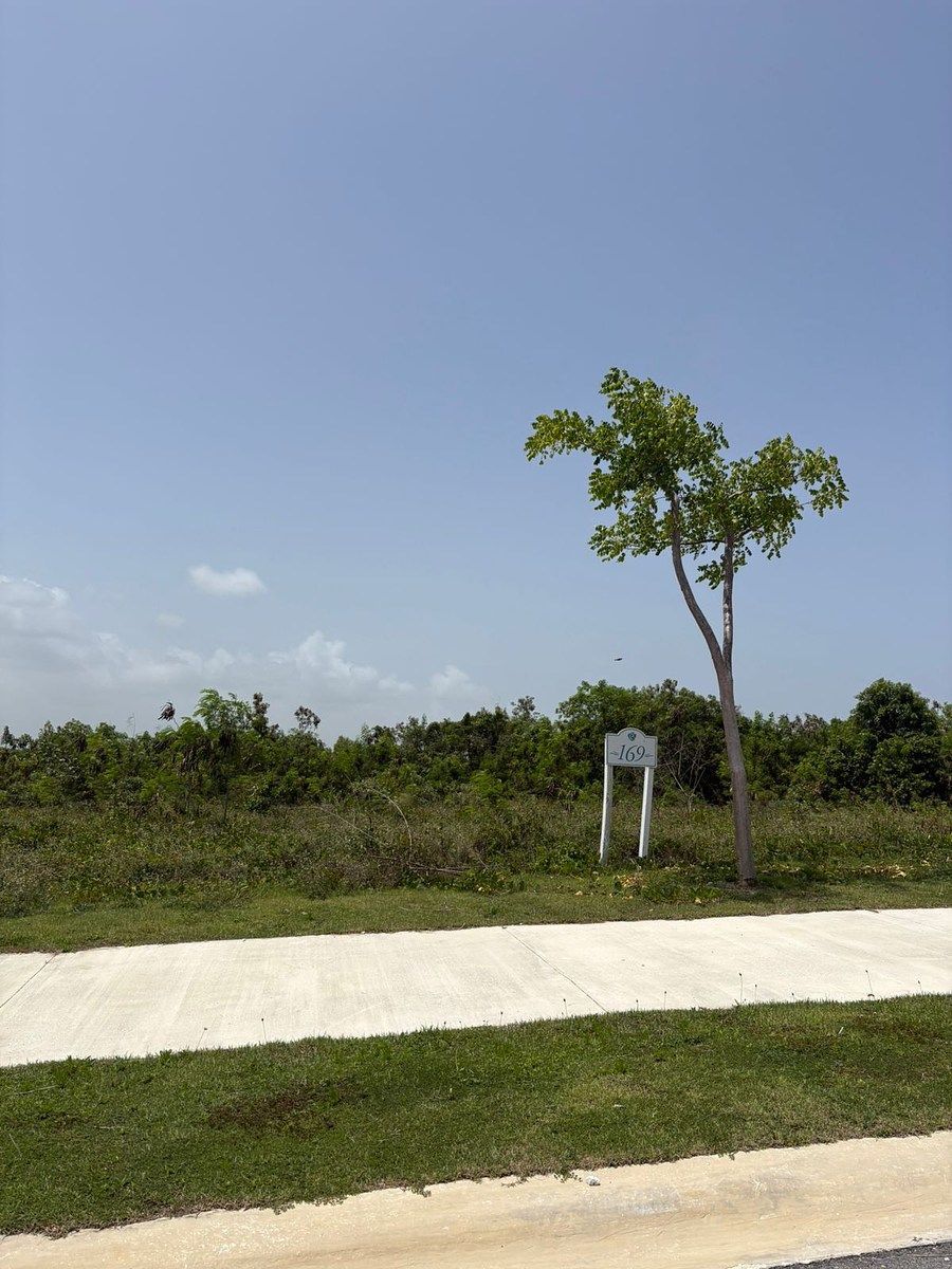 Terreno en Cap Cana, Punta Cana, foto 5 de 16