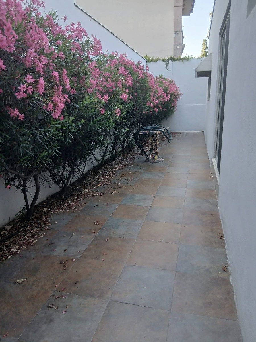 Casa en Jardines Coloniales 1er Sector, San Pedro Garza García, foto 4 de 18