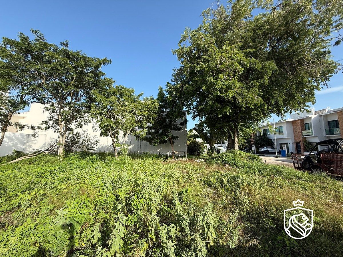 Lot in Rinconada, Carmen, photo 3 of 4