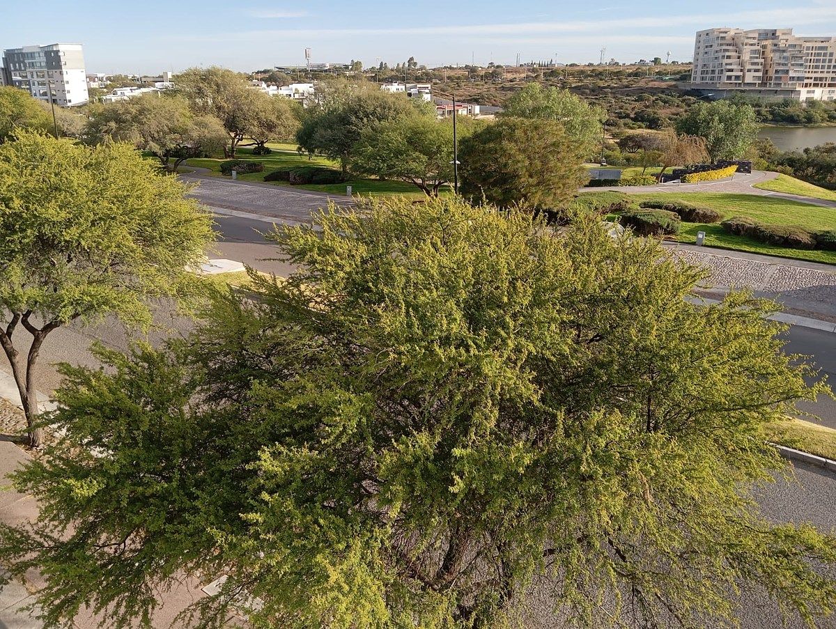 Casa em La Vista Residencial, Querétaro, foto 5 de 13