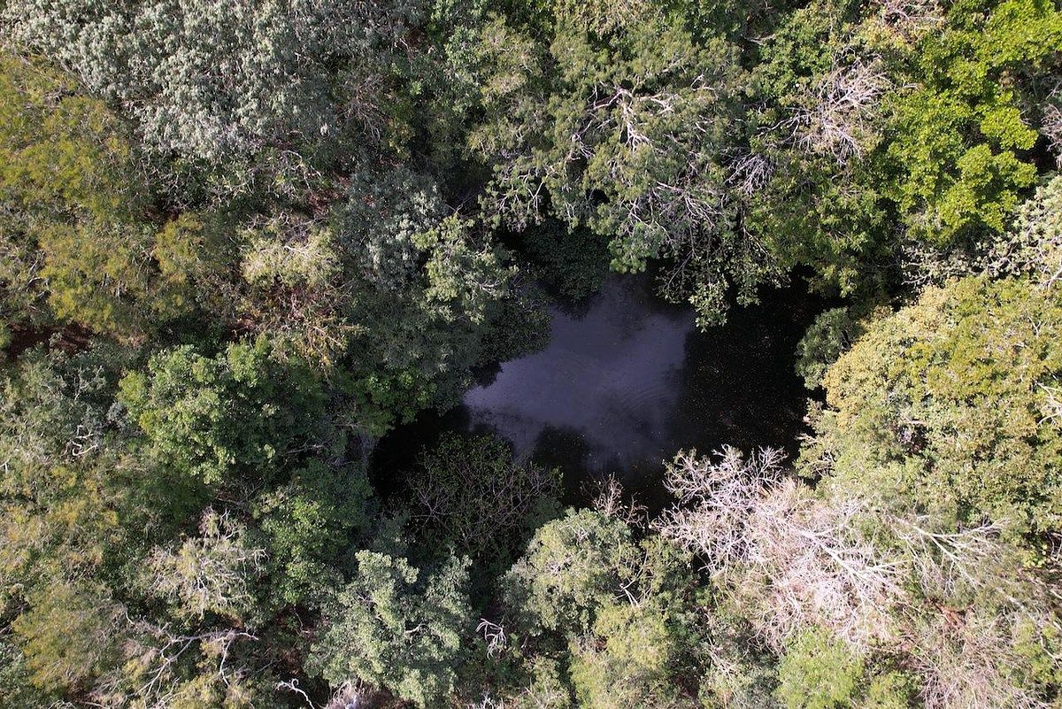 Lot in Hunucmá, Hunucmá, photo 6 of 13