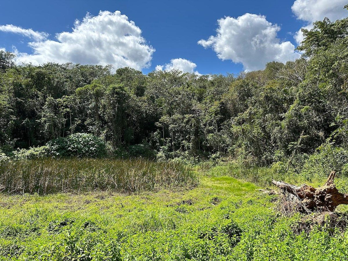 Lot in Hunucmá, Hunucmá, photo 7 of 13