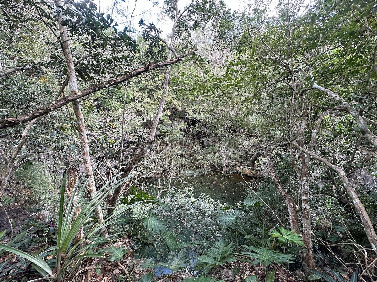 Lot in Hunucmá, Hunucmá, photo 8 of 13
