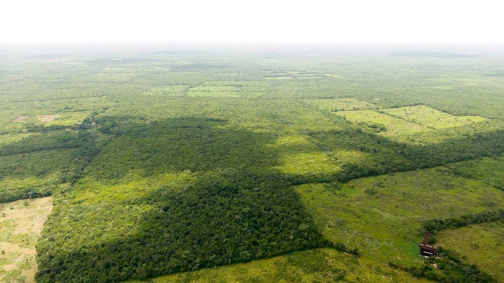 Land for Sale Ek Balam, Yucatán, Mexico, photo 1 of 13