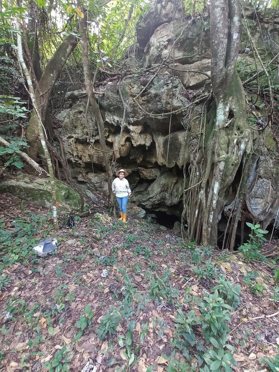 Lot in Hunucmá, Hunucmá, photo 11 of 13