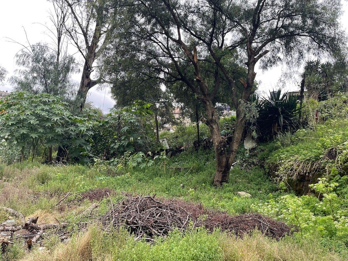 Terreno en Adolfo López Mateos, Atizapán de Zaragoza, foto 4 de 5