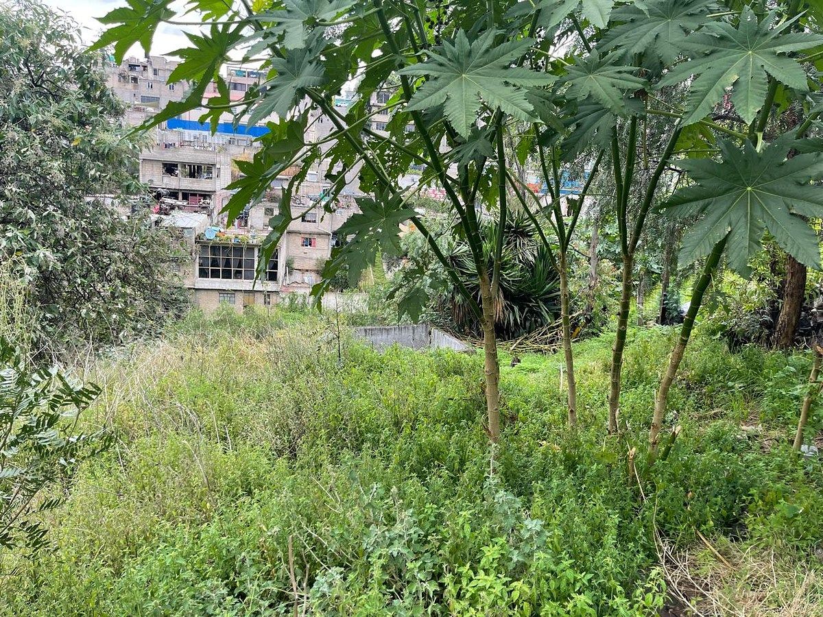 Terreno en Adolfo López Mateos, Atizapán de Zaragoza, foto 5 de 5