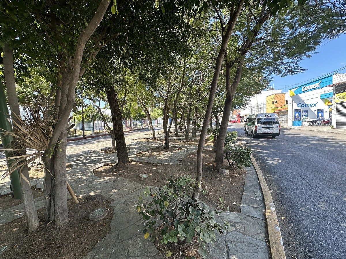 Local em Maya, Tuxtla Gutiérrez, foto 12 de 12