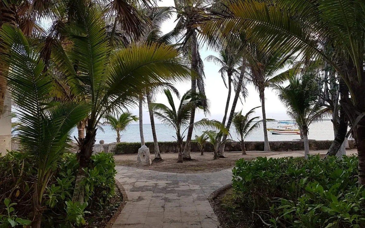 Edificio en Playa del Carmen Centro, Playa del Carmen, foto 10 de 11