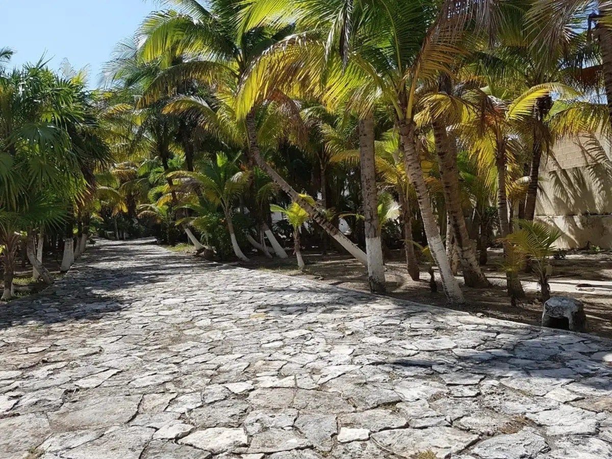 Edificio en Playa del Carmen Centro, Playa del Carmen, foto 11 de 11
