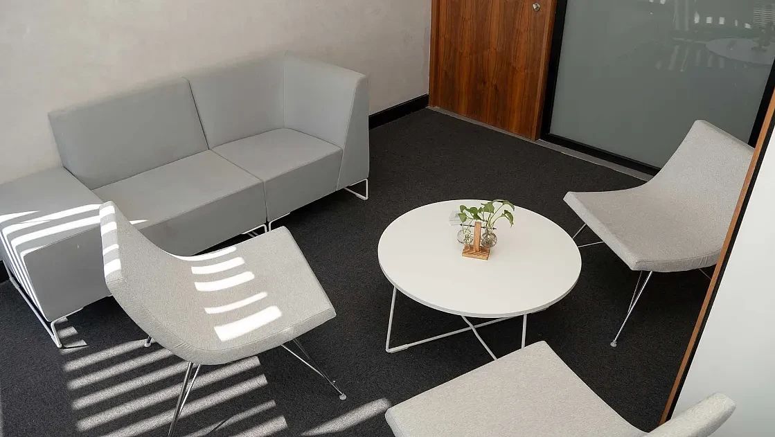 Office in Los Alpes, Álvaro Obregón, photo 8 of 21