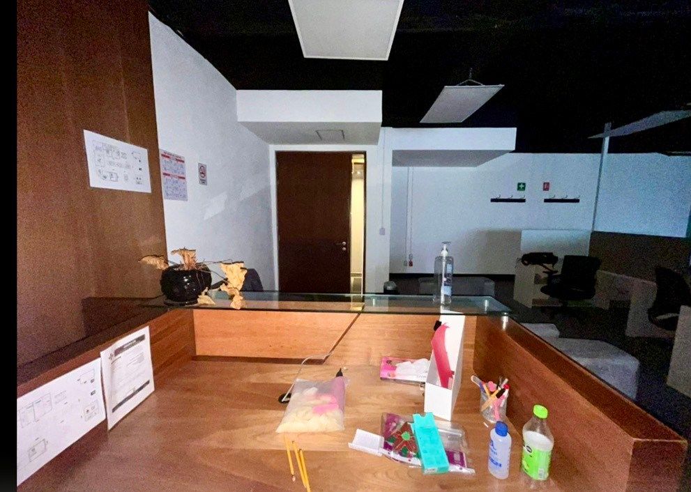 Office in Los Alpes, Álvaro Obregón, photo 16 of 21
