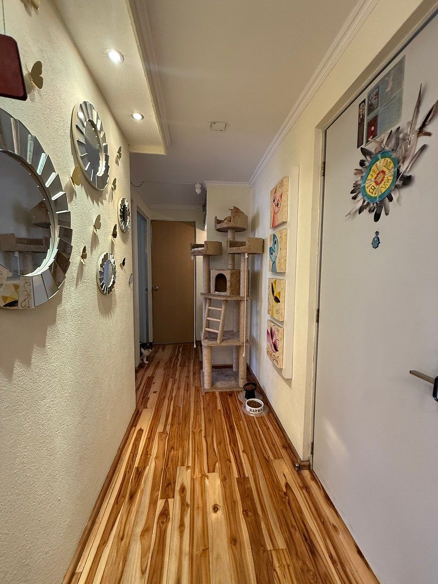 Apartamento em Nicolás Bravo, Venustiano Carranza, foto 3 de 15