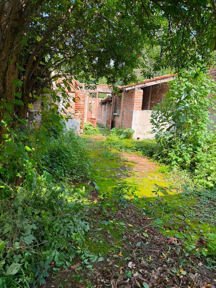 Lote em Tlajomulco Centro, Tlajomulco de Zúñiga, foto 7 de 9