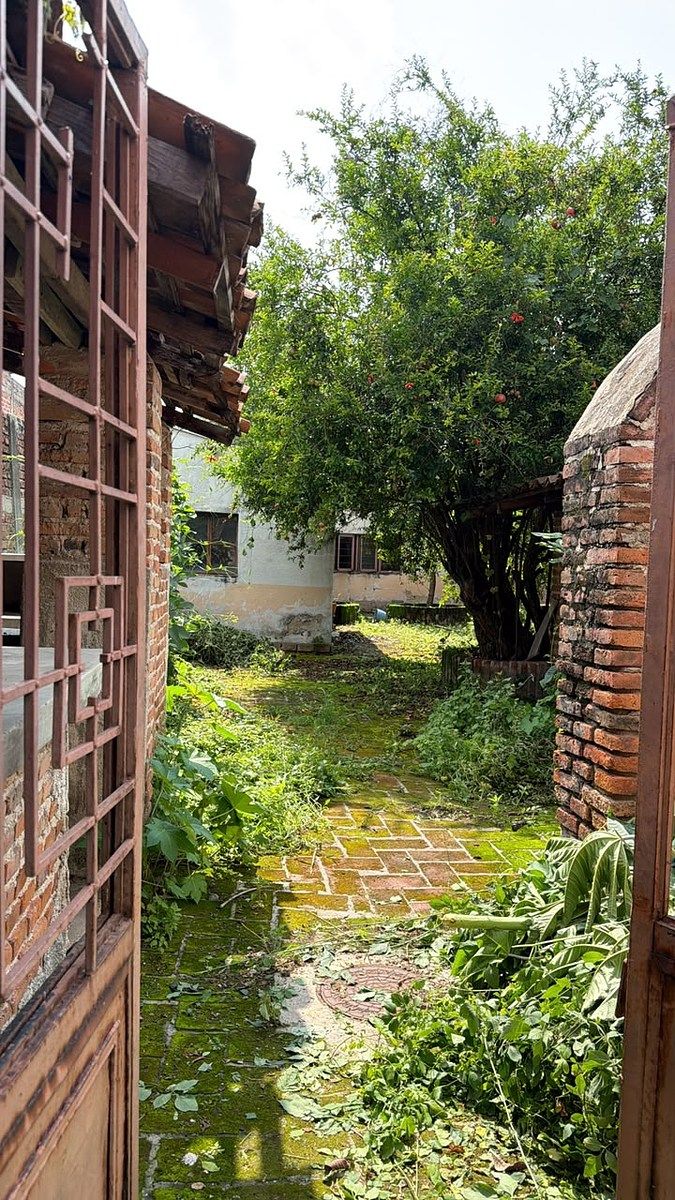 Lote em Tlajomulco Centro, Tlajomulco de Zúñiga, foto 9 de 9