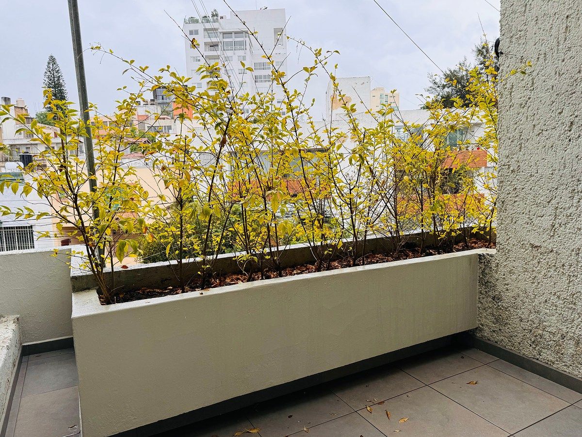 Apartamento em Lomas de Providencia, Guadalajara, foto 3 de 16