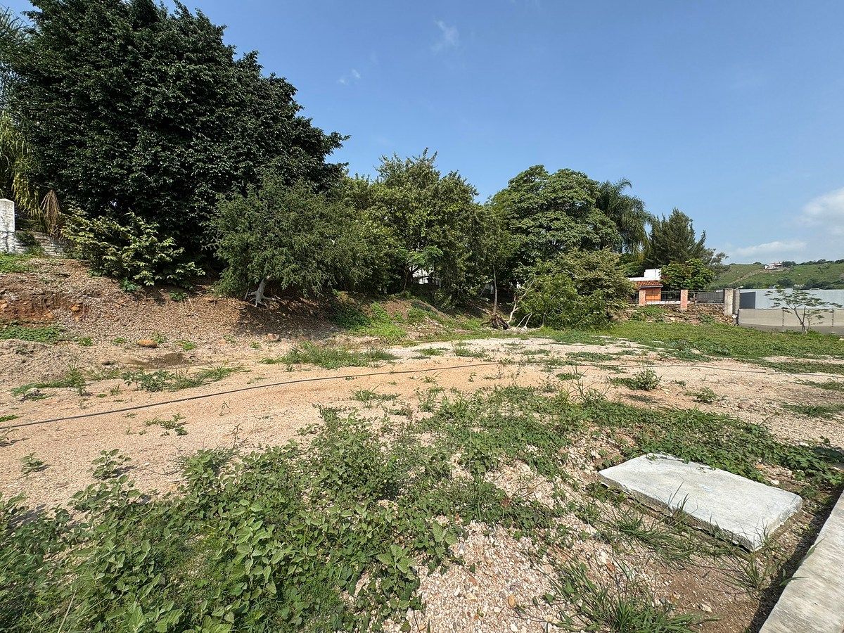 Terreno en Las Cañadas, Zapopan, foto 5 de 5
