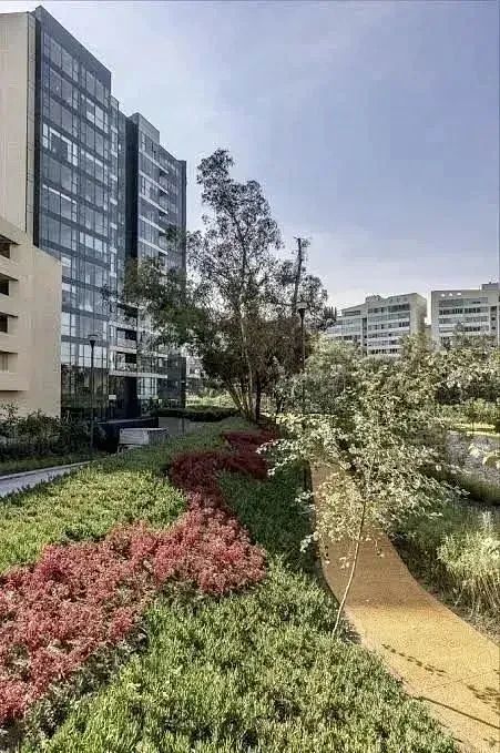 Apartment in Lomas de Chapultepec I Sección, Miguel Hidalgo, photo 20 of 34