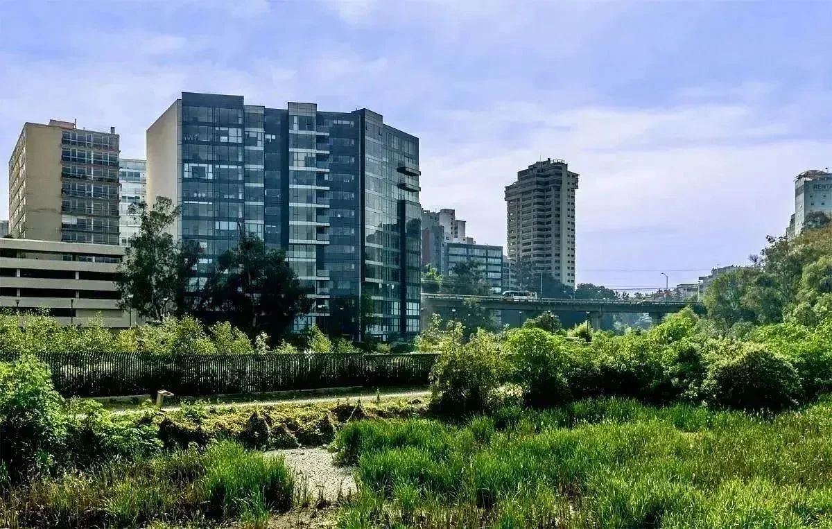 Apartment in Lomas de Chapultepec I Sección, Miguel Hidalgo, photo 22 of 34