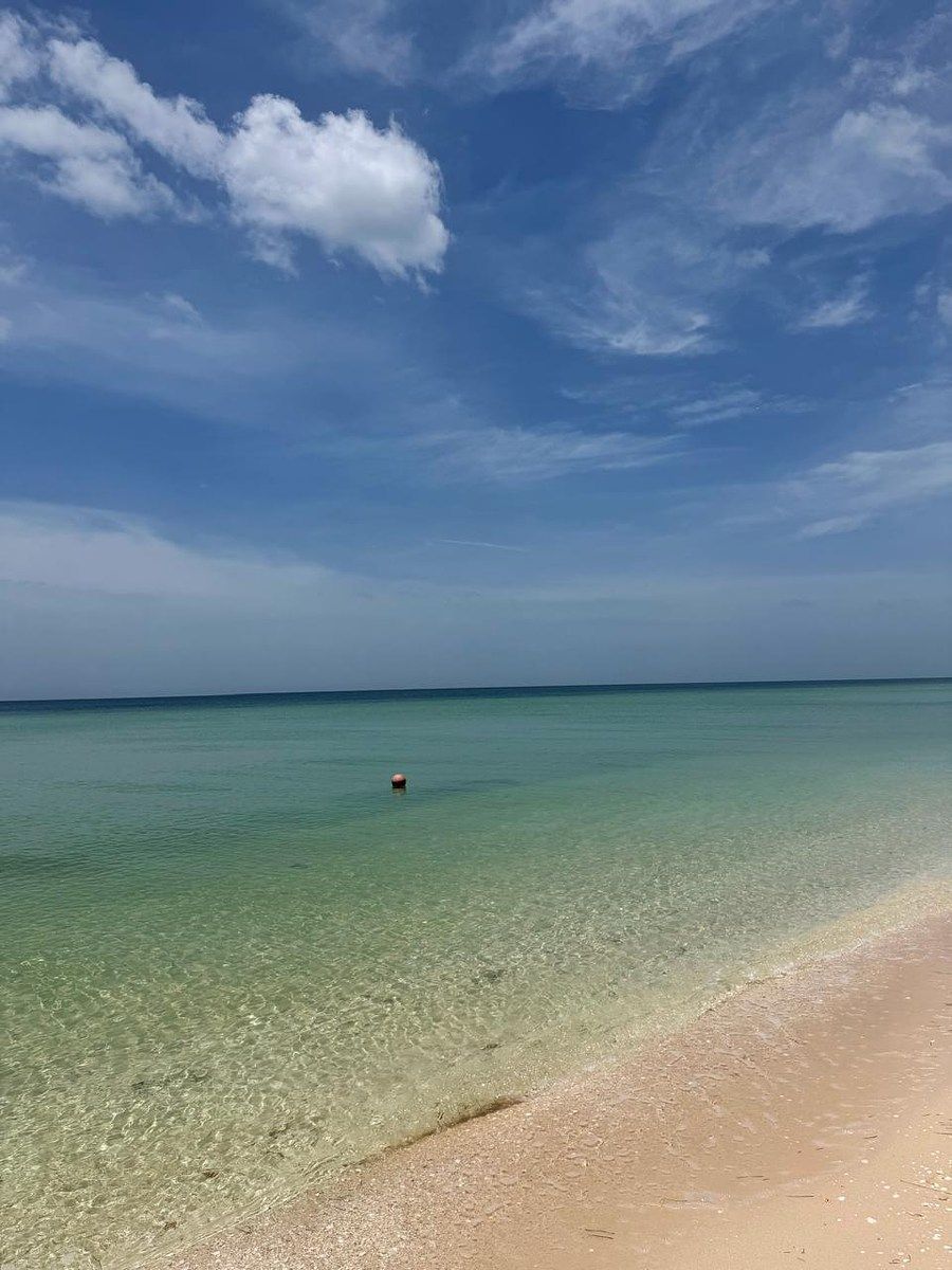Lote em Chicxulub Puerto, Progreso, foto 6 de 8